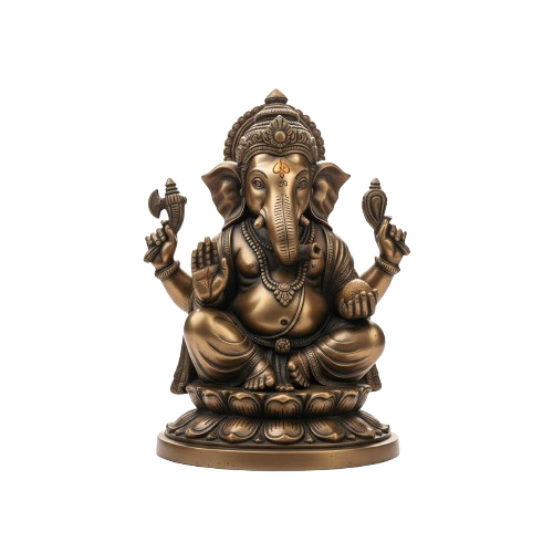 Sacred Rudraksha Collection